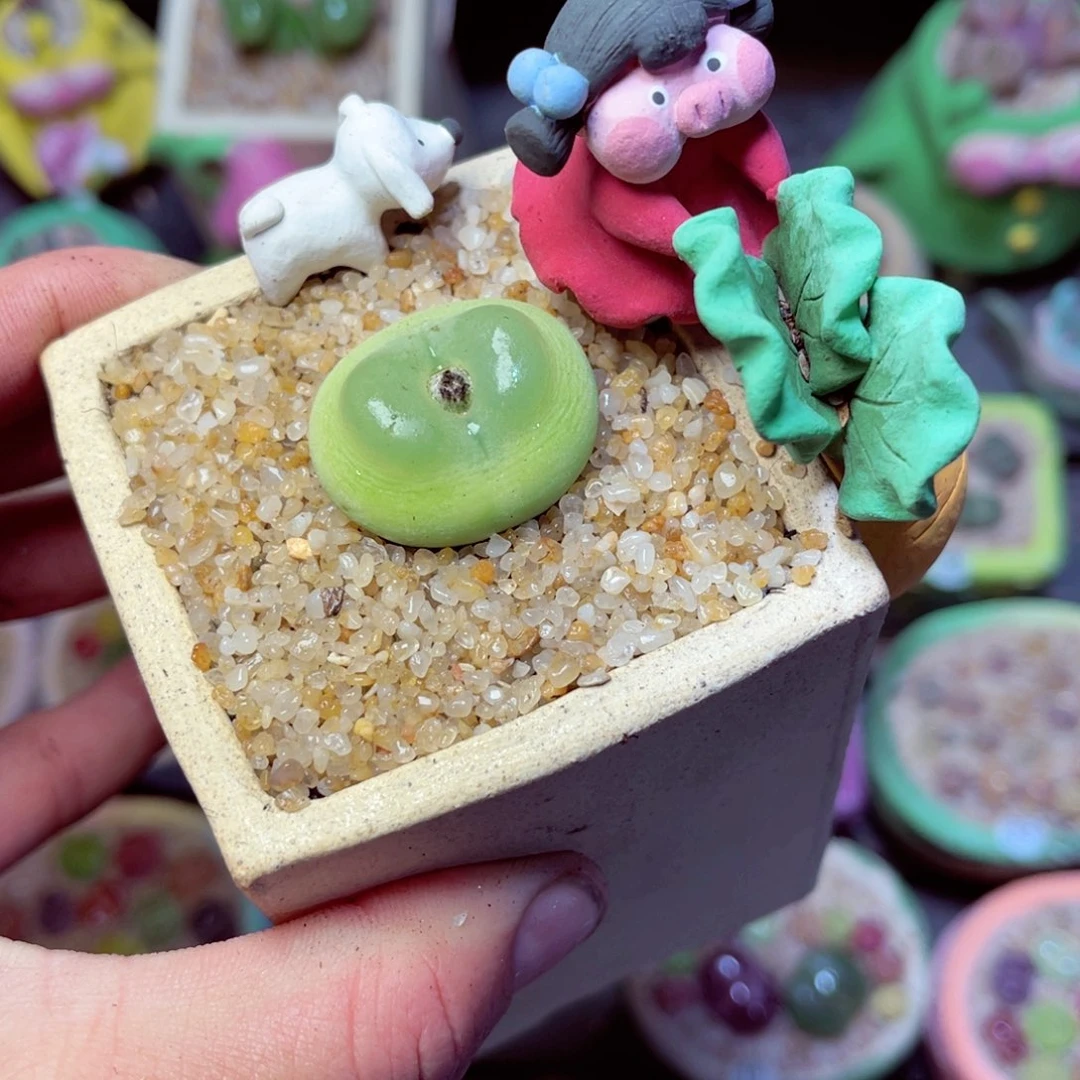 霖*1111111111111111111111