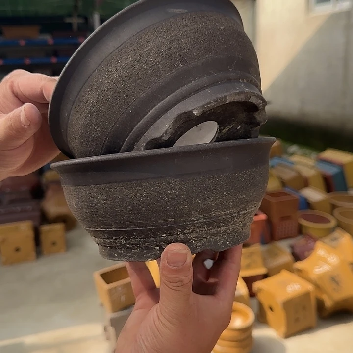 紫砂花盆这是我第一