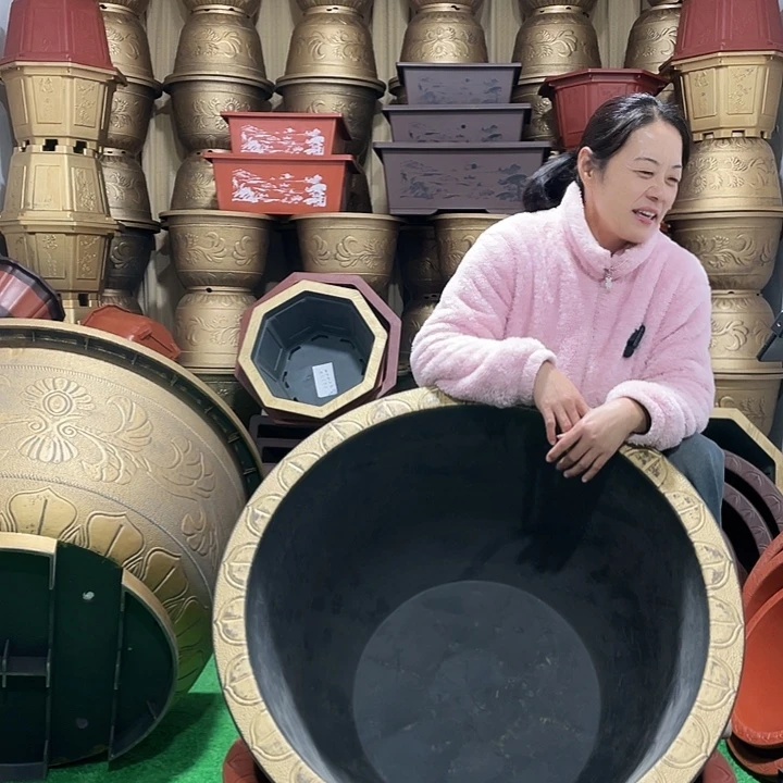 圆盆古铜八零三个