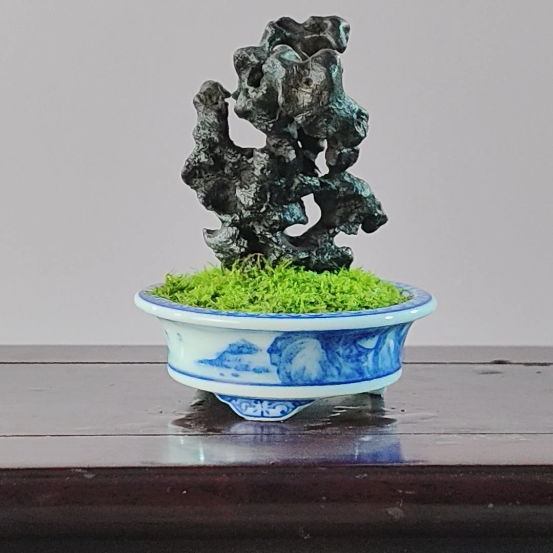 宿***命无花朵盆景，太湖石，，，，，，