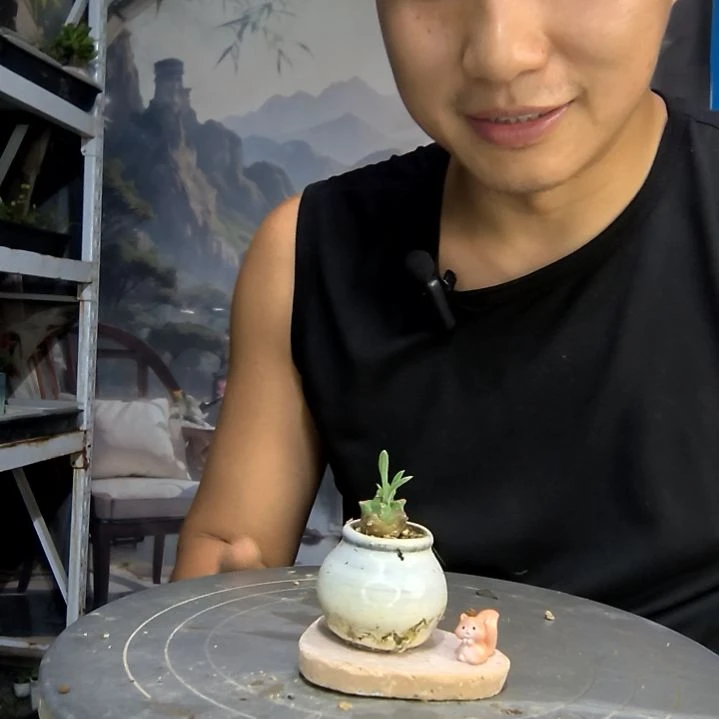 ?中青园艺一物一拍44