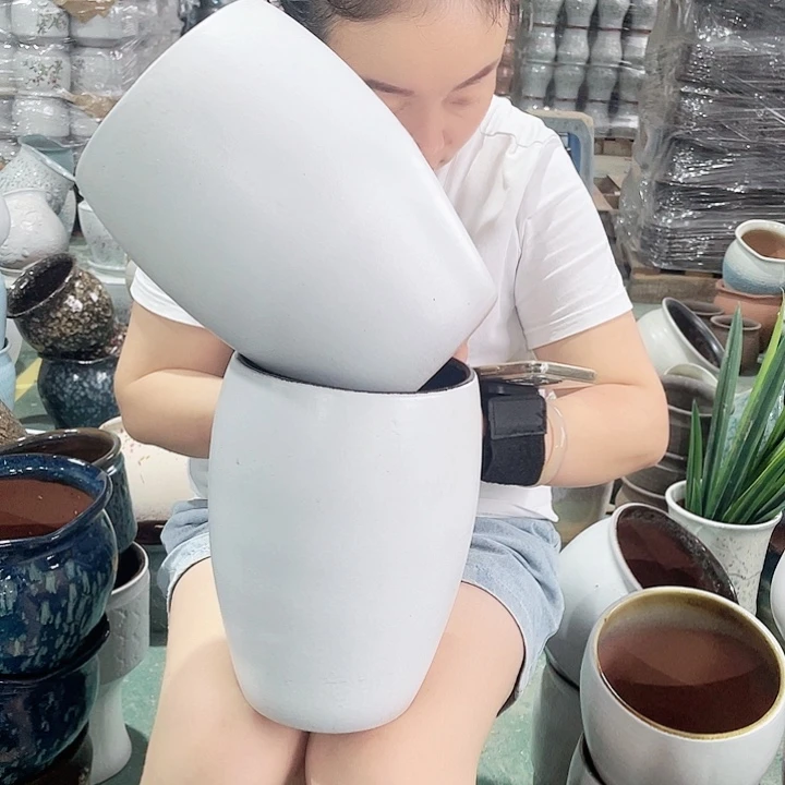 正品高24口17两个