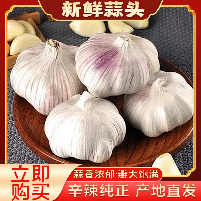 【新蒜批发】5斤中果大果超大果干蒜邳州可吃可种3斤5斤9斤粒粒饱满