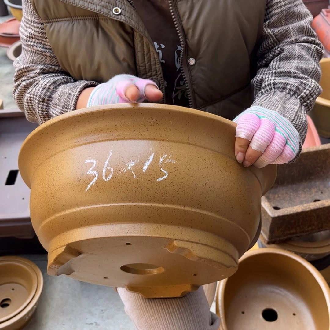 紫砂花盆盆景艺术