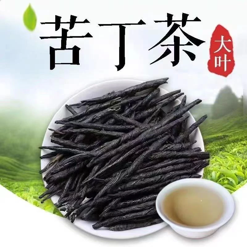 贵州特产苦丁茶遵义泡茶苦丁茶毛冬青老叶老梗深山苦丁茶茶毛冬青