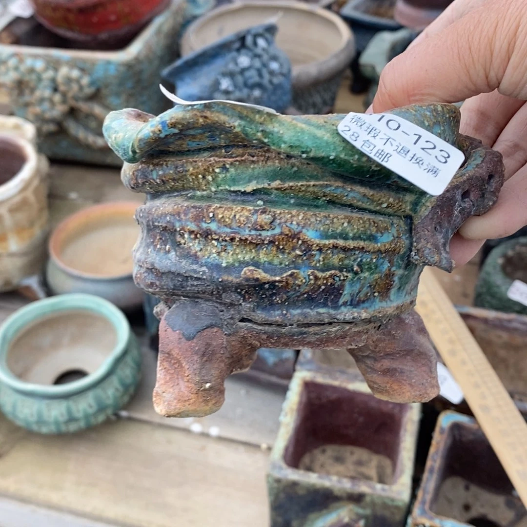 壹*123号多肉盆一个呀