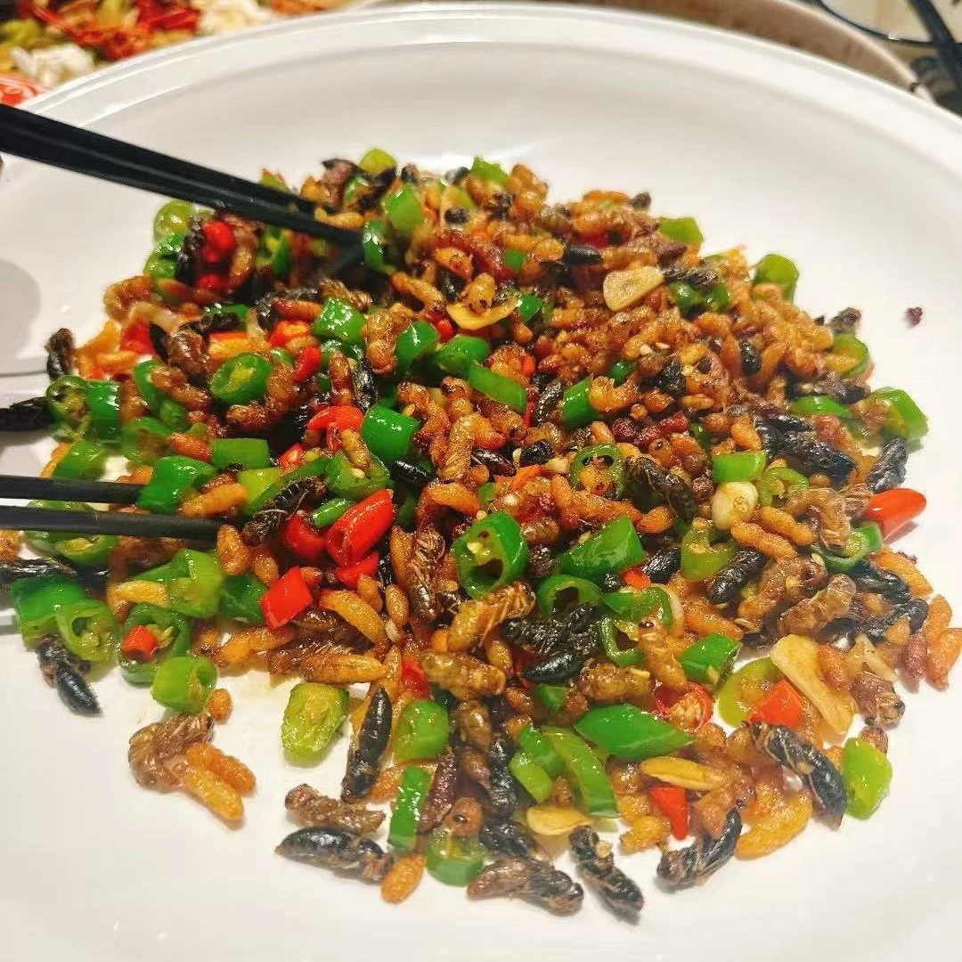 马蜂马蜂蛹124级蜂蛹马蜂蜂蛹速冻蜂儿柠檬鸭虎头蜂蛹豹子母豹子