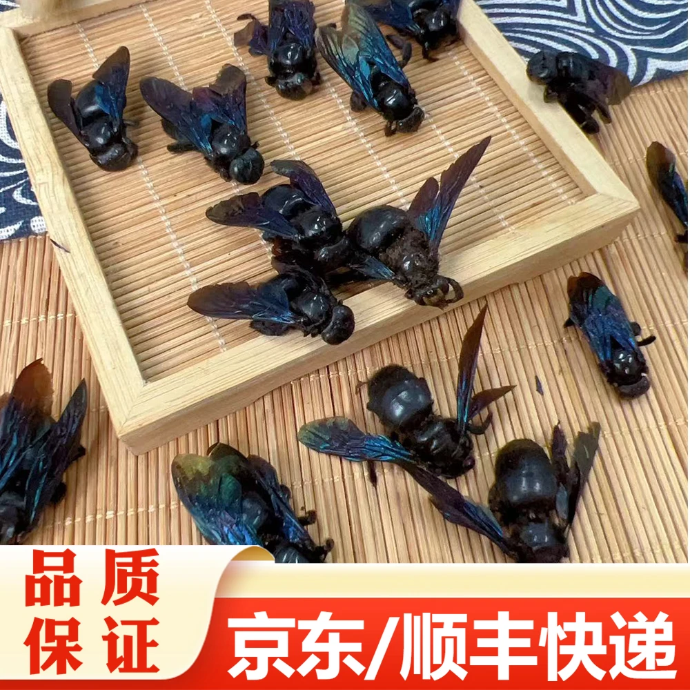 【精选】咸竹蜂 泡水煲汤