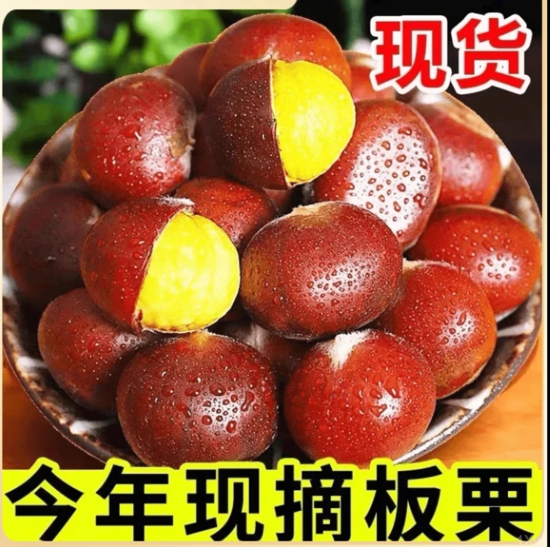 高山老树新鲜香甜正宗丹东大板栗颗颗饱满香糯难剥皮