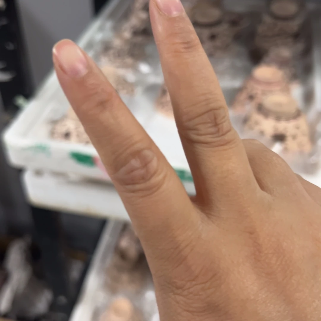 a***z景德镇纯手工陶瓷瑕