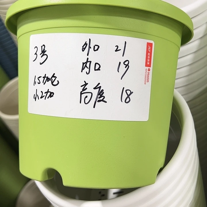 特价3号四季口21高18混色10个无托