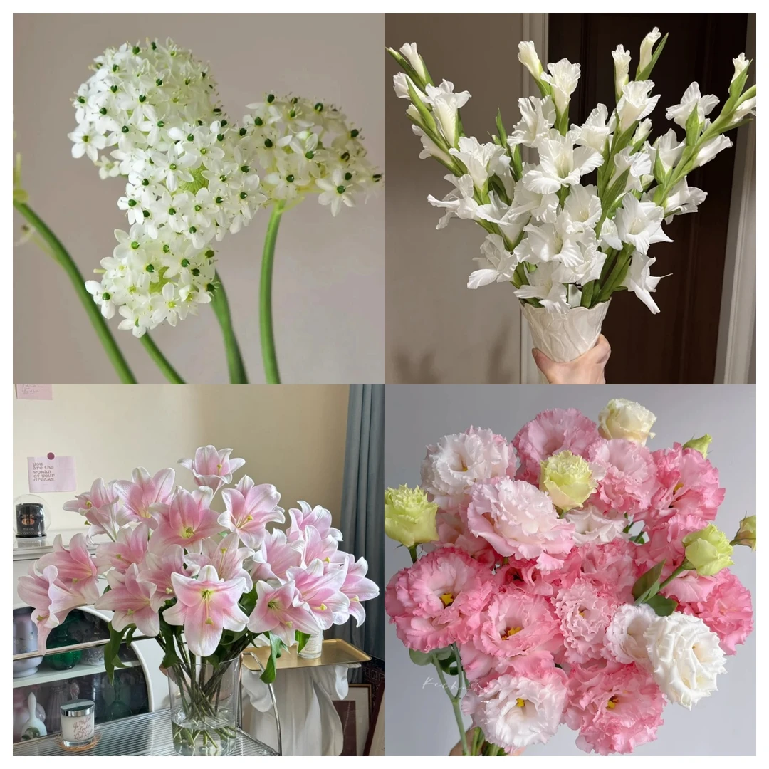 【原创鲜花组合套餐 一单顺丰包邮】