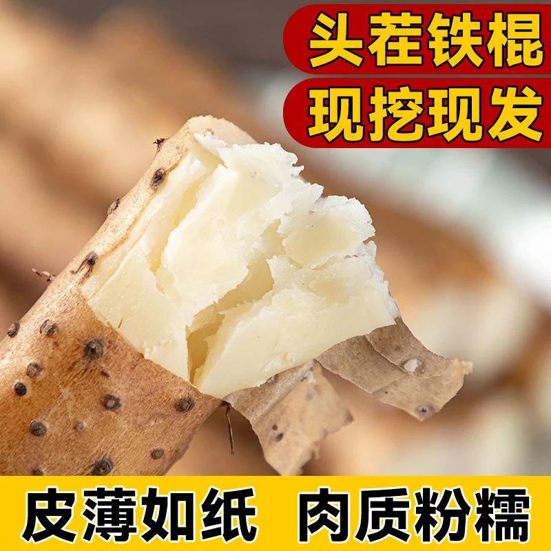 新鲜焦作温县铁棍山药5斤粉糯香面正宗怀山药垆土铁棍山药高营养
