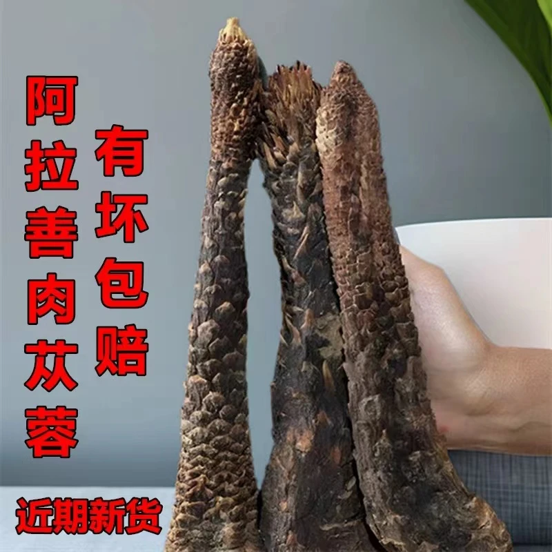 阿拉善肉苁蓉整根正品内蒙古沙漠人参大芸真品肉从耸正宗软肉松蓉