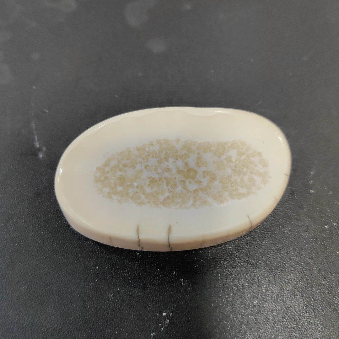 猛犸猛犸虬饼子TT1547