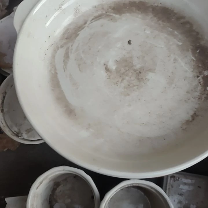 瓷发两个鲍鱼盘口径23