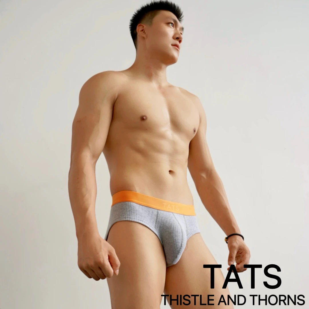 TATS（荆棘制造）埃及棉男士透气性感中低腰三角裤内裤