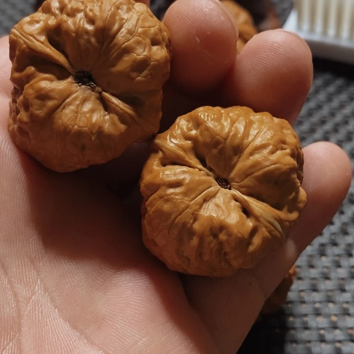 核桃手串/手链南***0文玩核桃古蝉