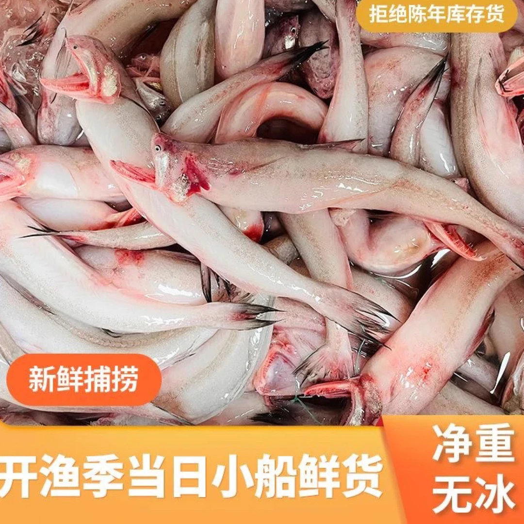 新鲜豆腐鱼龙头鱼宝宝辅食海鱼12左右/斤 5斤装 鲜鱼速冻发货