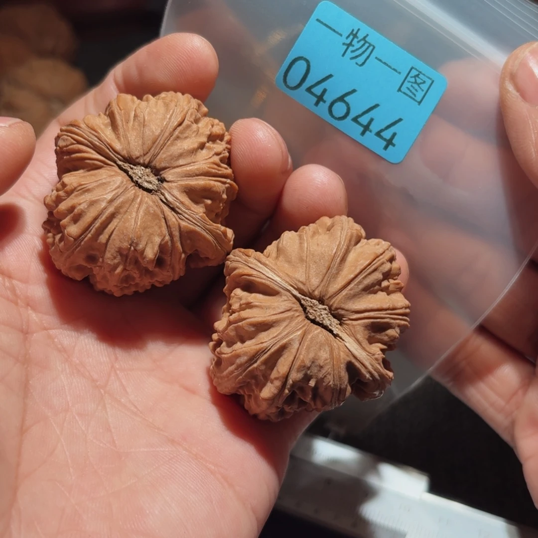 文玩核桃把件白狮子