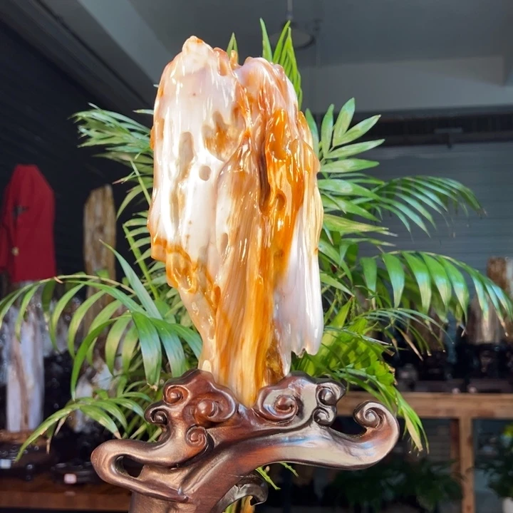 硅化玉（树化玉）未镶嵌珠宝奇石