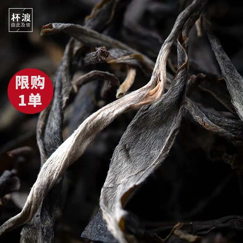 杯渡古茶【秘境尤物！】2019春易武哆依树古树纯料普洱生茶散茶50g