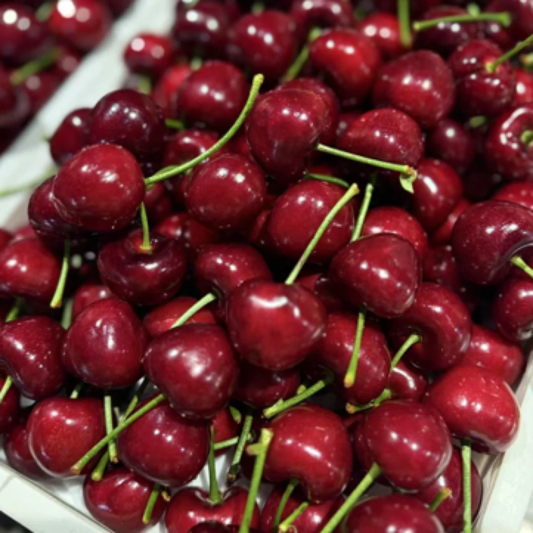 【军哥严选】空运大连美枣樱桃2斤起步礼盒装（JJJ规格） 内附果径卡