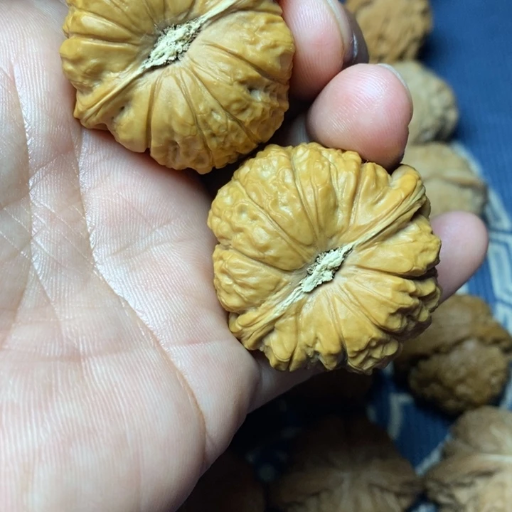 全品南瓜墩41尺寸