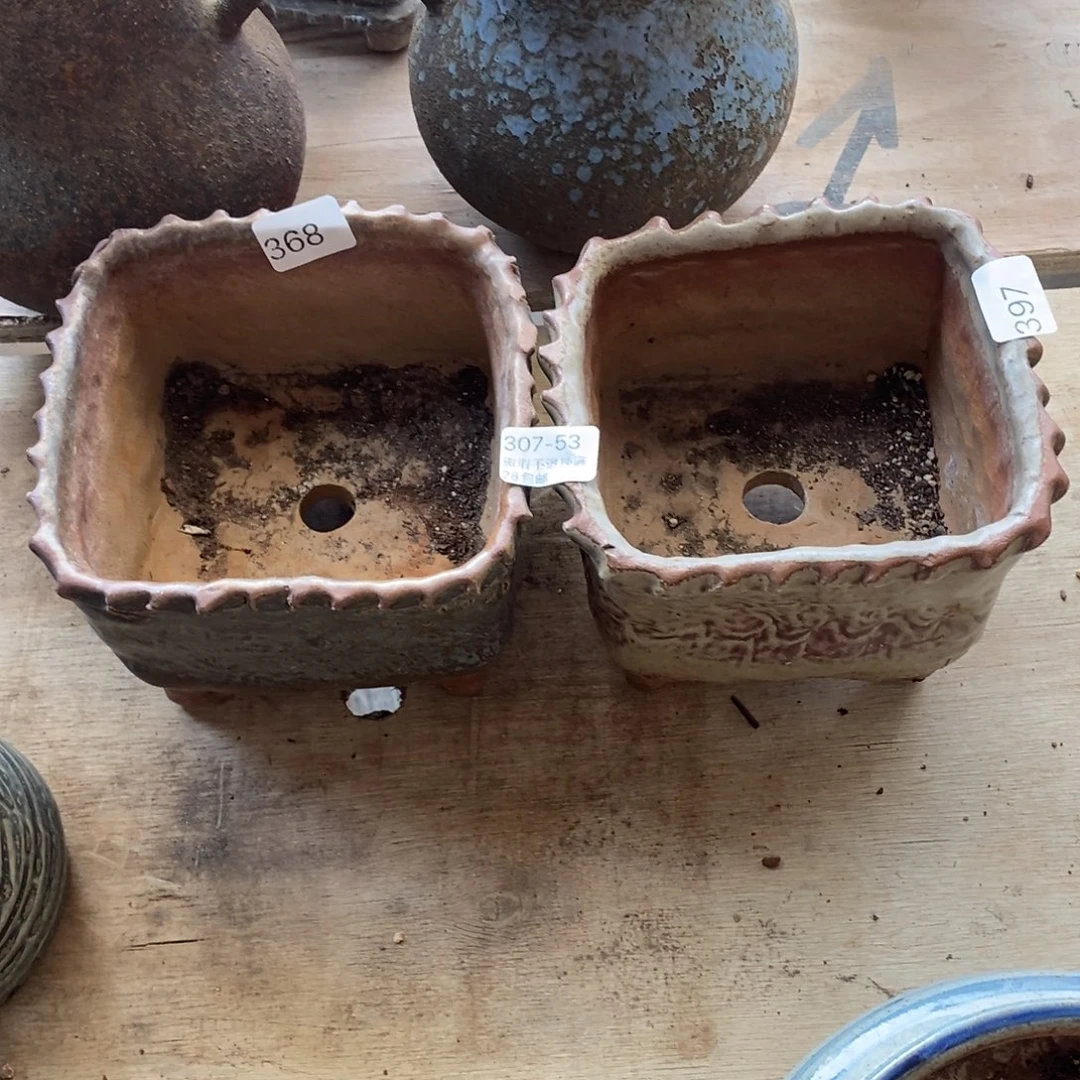 红陶往**烟53号多肉盆两个组合