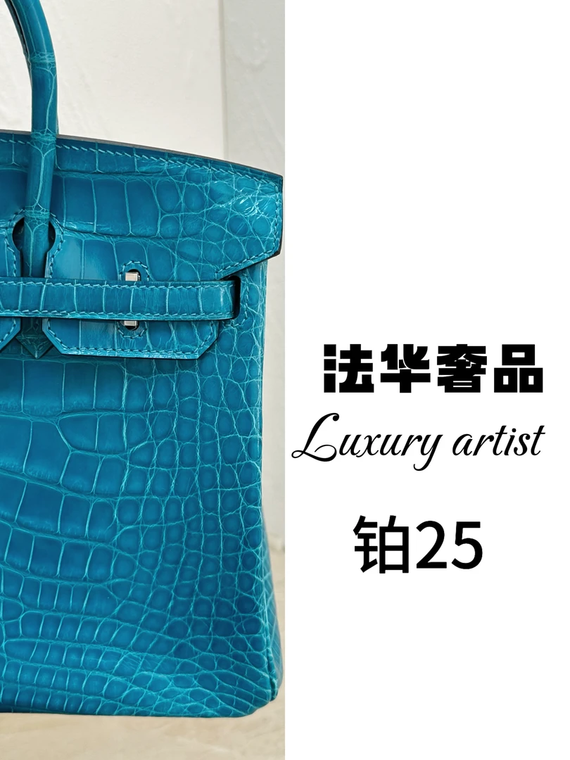 25G高端私定时尚气质HCP湾鳄25cm女包