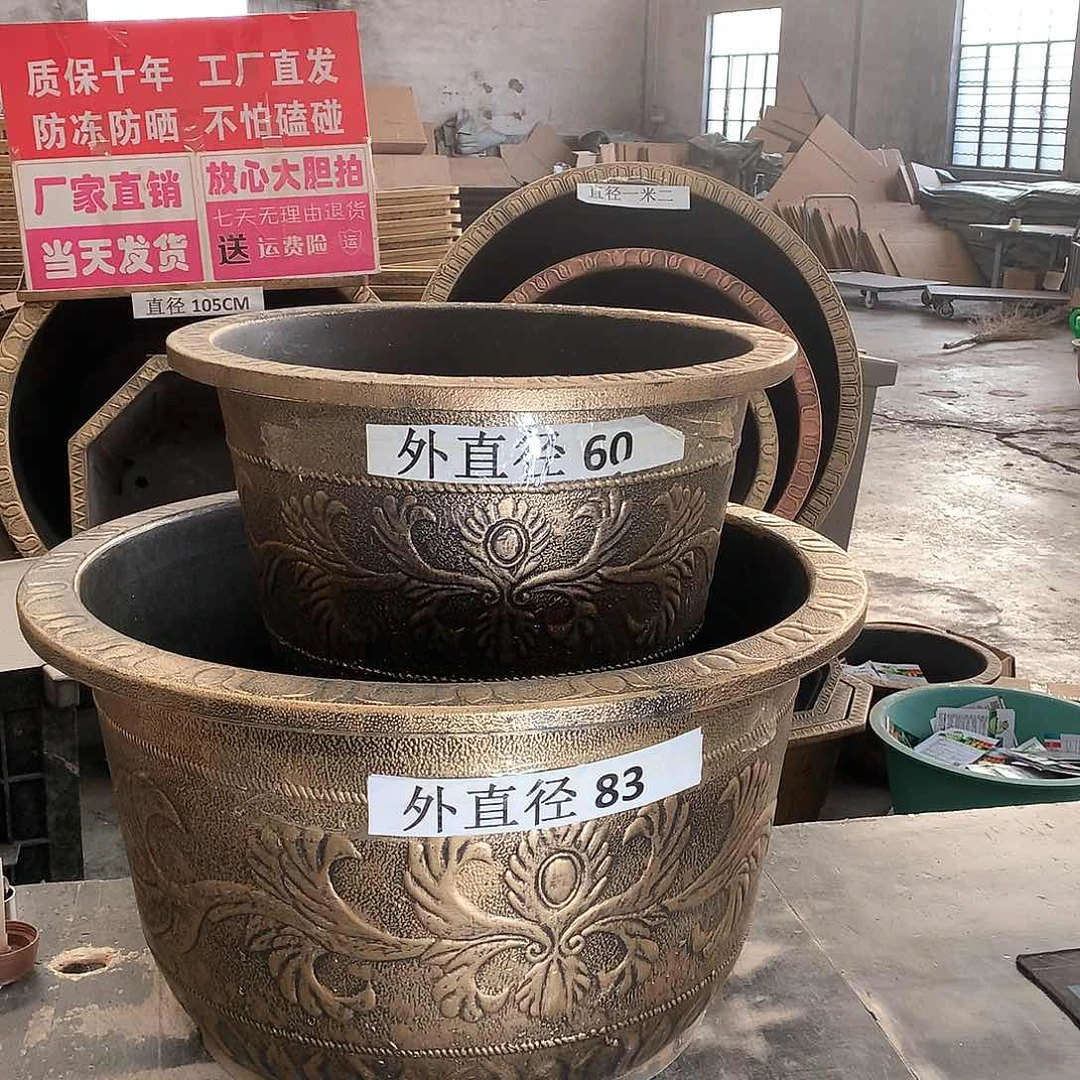 复合用**姐花盆花开了个大