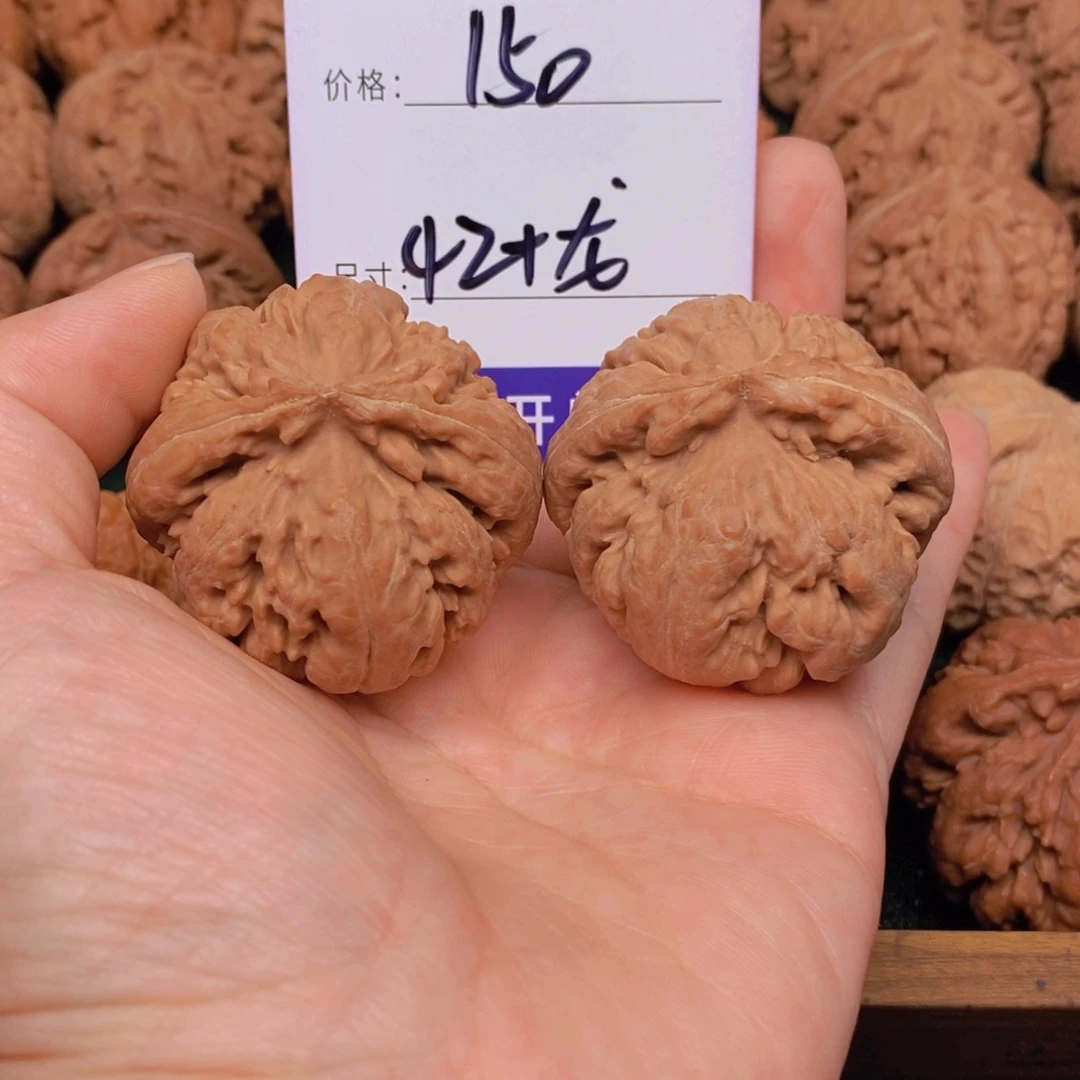 品***道文玩核桃霸王龙核桃