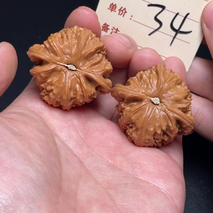 文玩核桃把件白狮子40尺以打底34