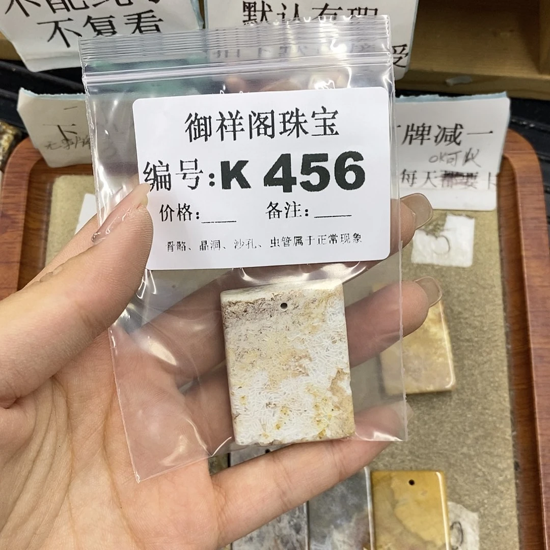 硅化珊瑚（珊瑚玉）未镶嵌颈饰-****了