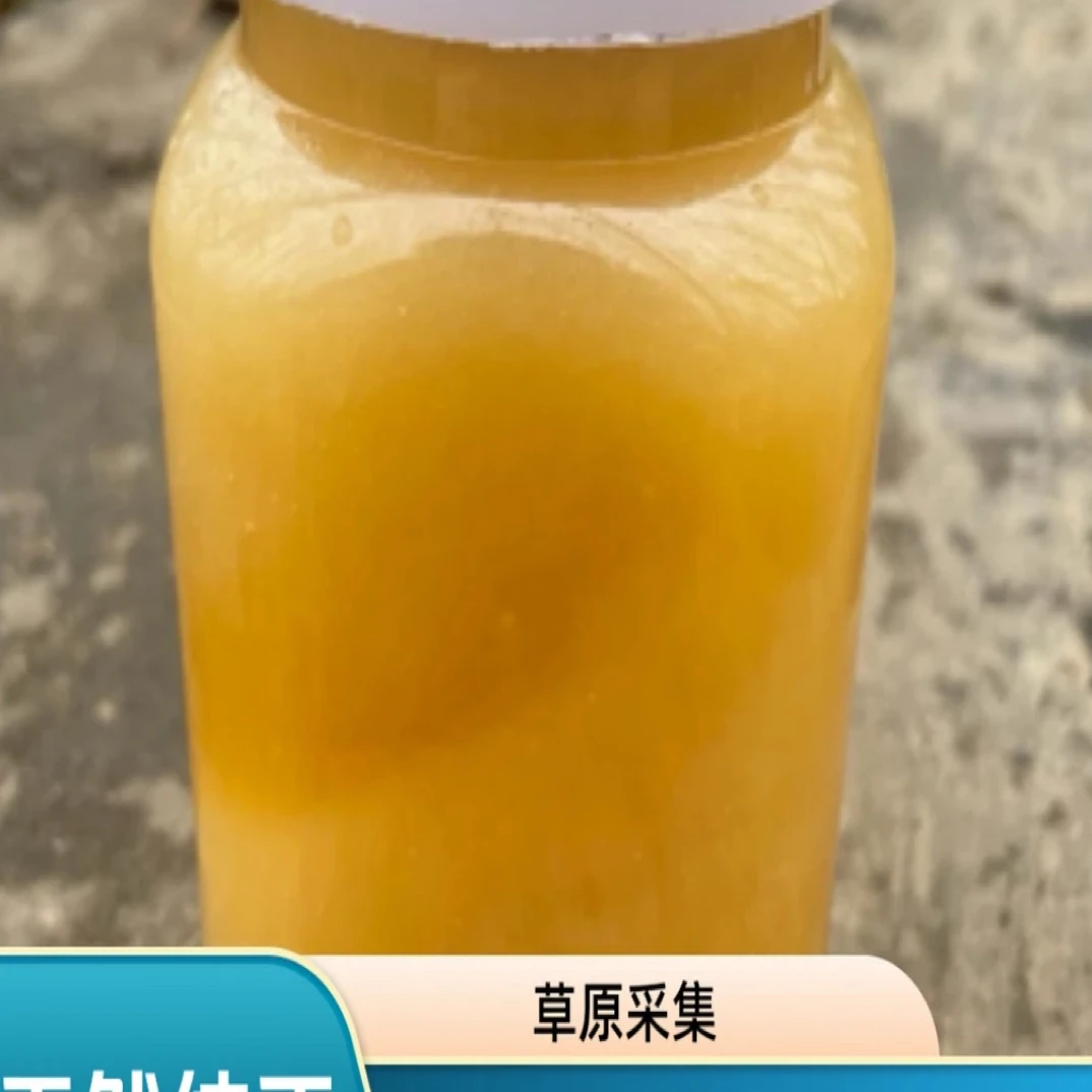 土蜂蜜蜂场直销草原野花蜜自然酿造成熟 结晶百花土蜜采集