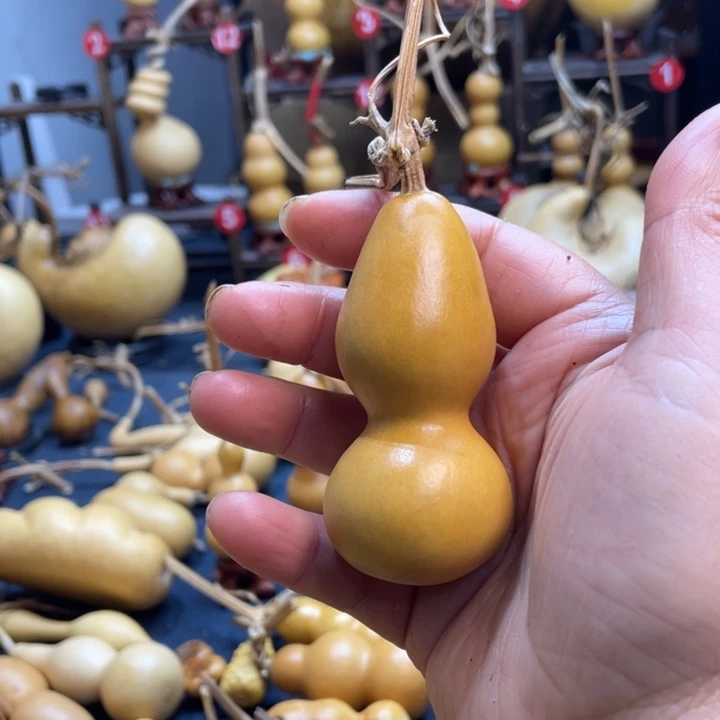 熊***咪我的心都在你身上了你知道