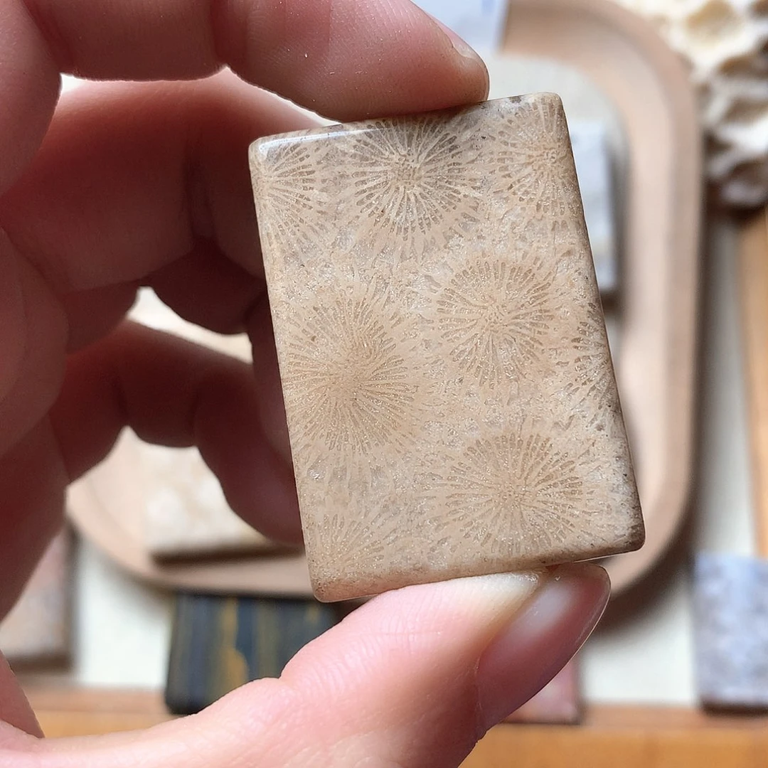 石英质玉颈饰未镶嵌猫*喵