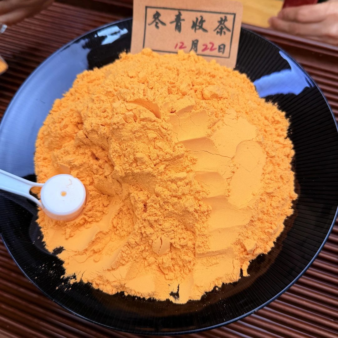 【沙棘原浆冻干粉】2025年头茬沙棘 原浆冻干纯粉 冬青收茶