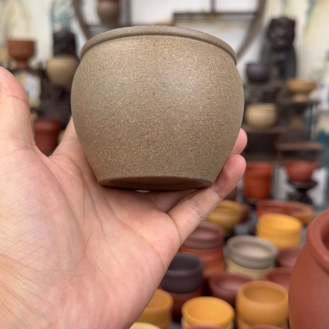茶杯紫砂856855555789568