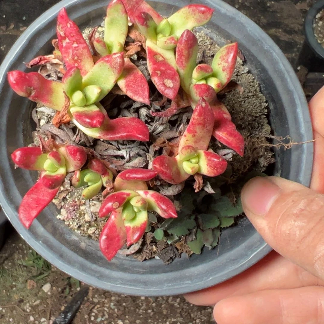 2415哈哈哈哈哈哈哈