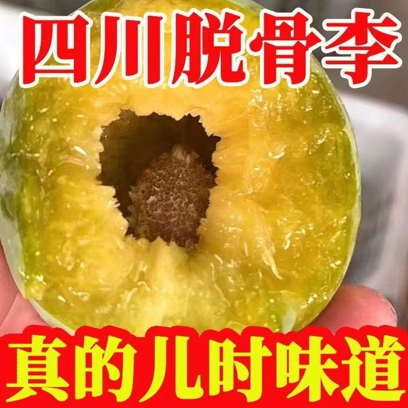 【助农顺丰包邮】四川青脆脱骨李子五月脆水果酸甜可口佳果带箱5斤