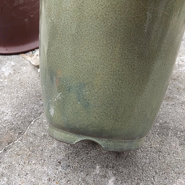 画***心其他紫砂585888888555888888