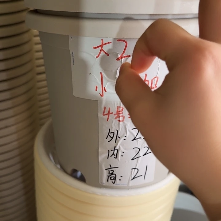 四季4号灰白无托10个特价