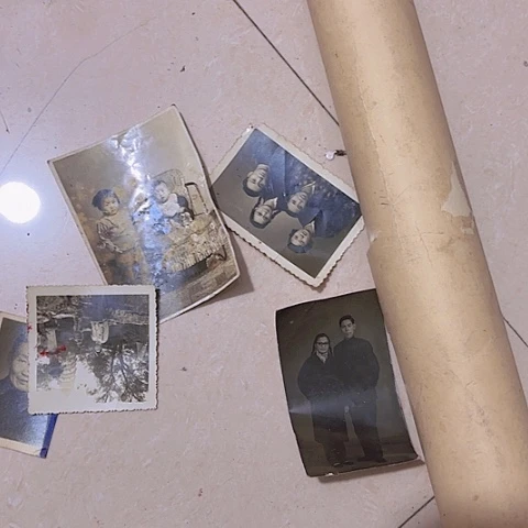 香榧木寻**今Ghhgghfhhfhhcghvb