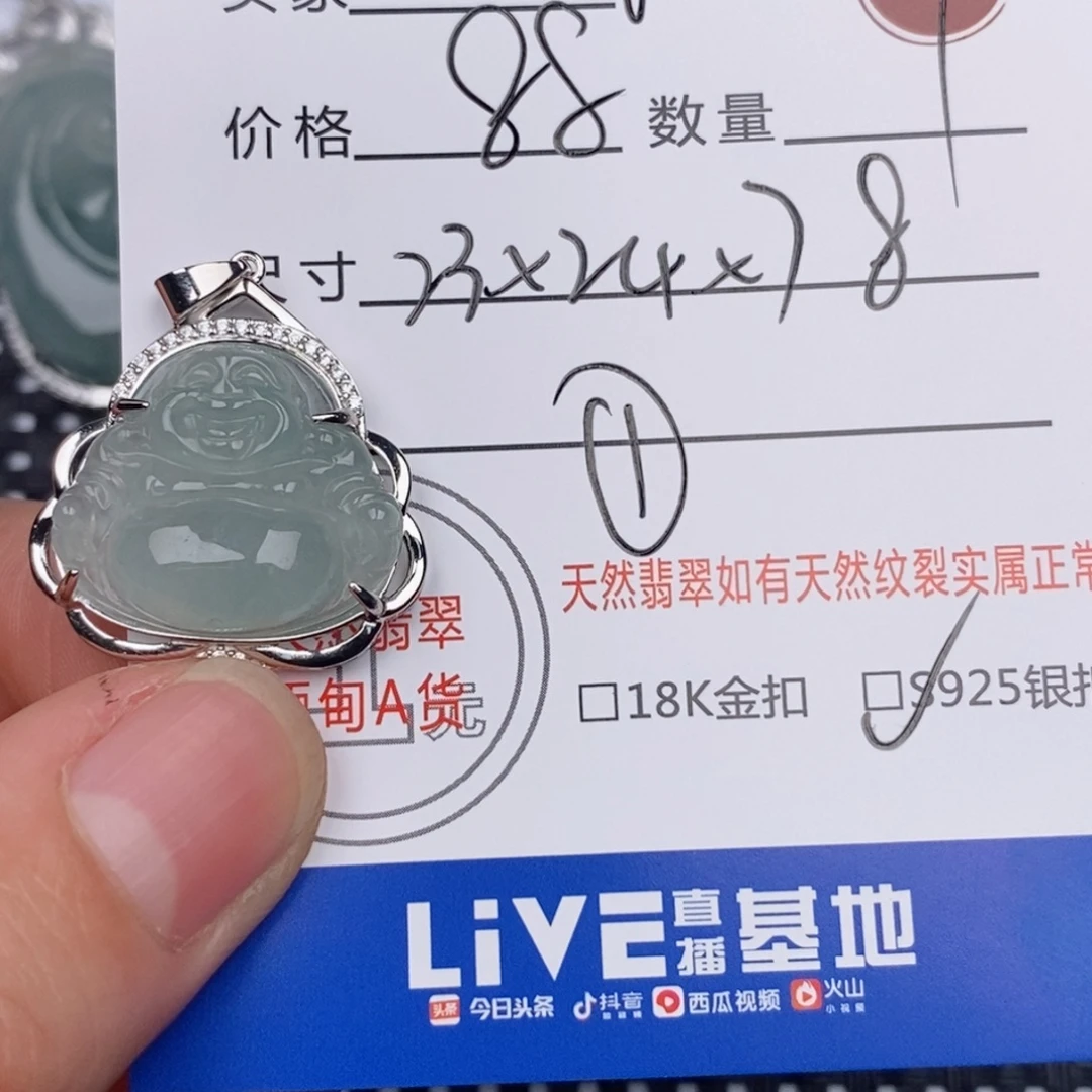 *****翡翠银S925镶嵌颈饰