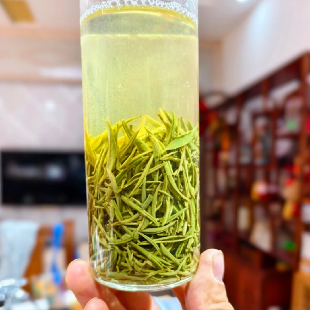 正宗信阳毛尖浉河港白露小芽味浓香高耐泡2025年新茶