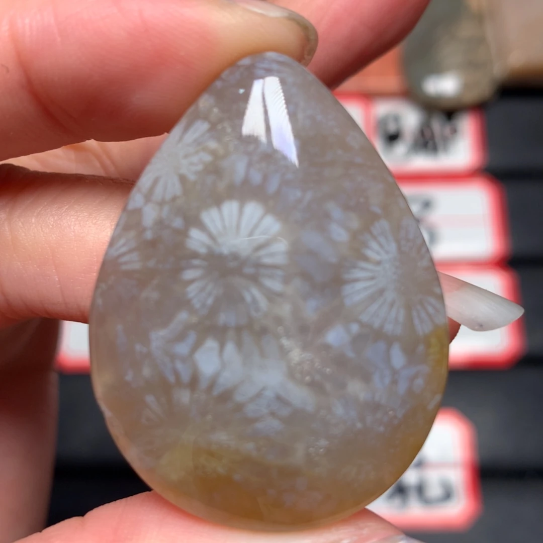 【闪购商品】未镶嵌颈饰硅化玉河*花