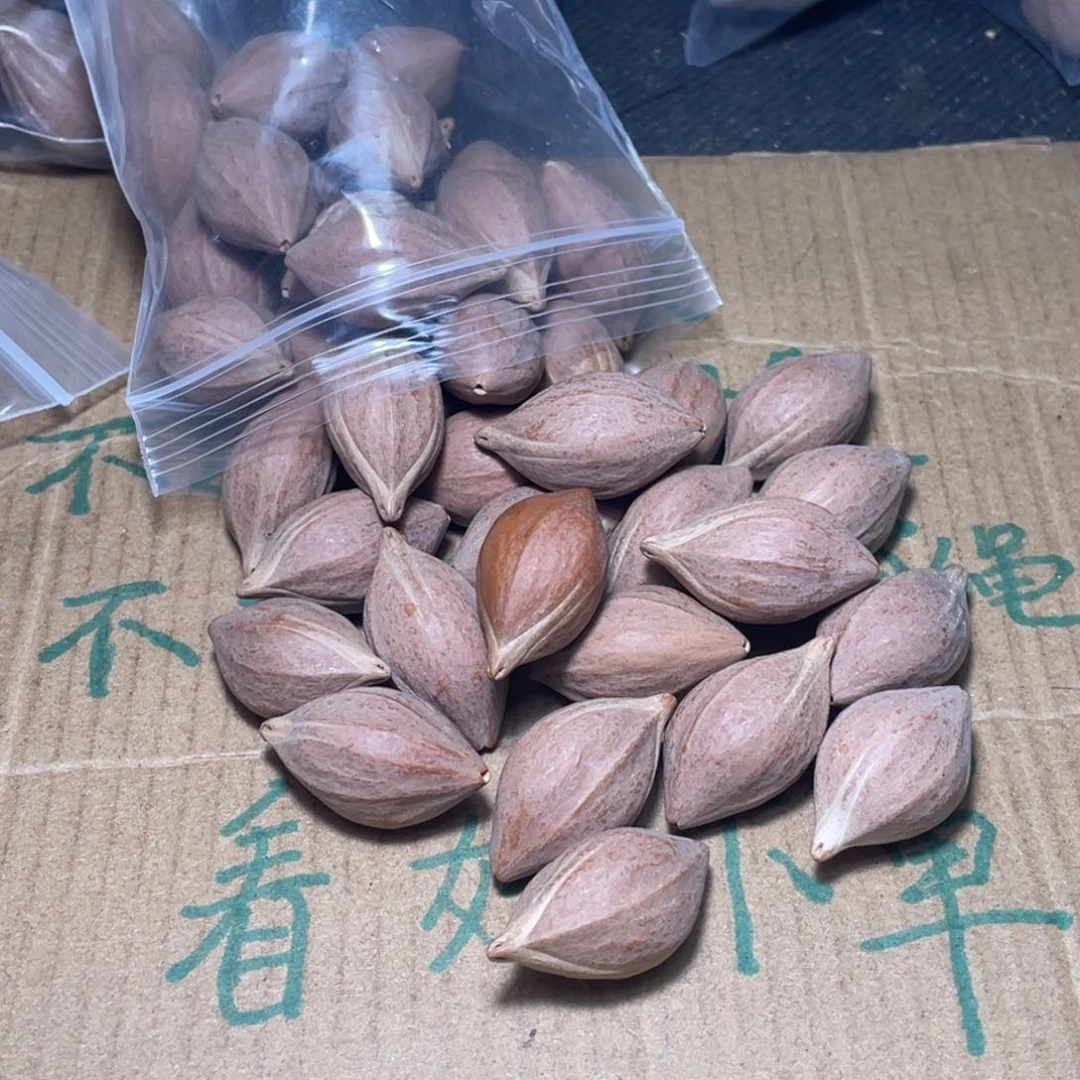 快**生不退不换q er tui