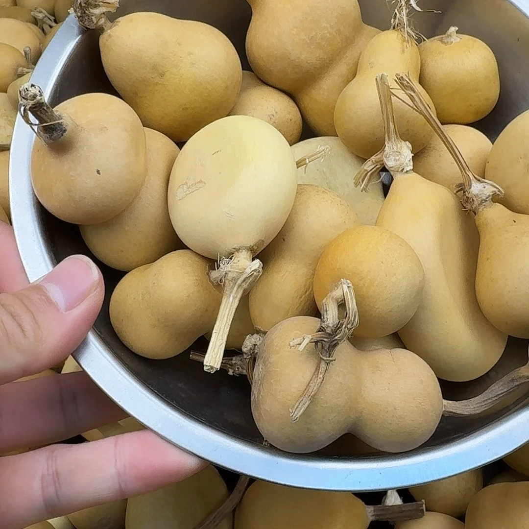 梧***轮直播间葫芦专属链接9