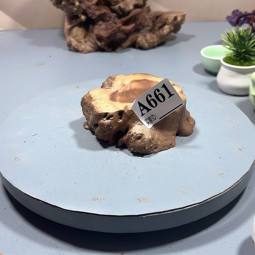 麥***子大果紫檀（缅甸花梨）